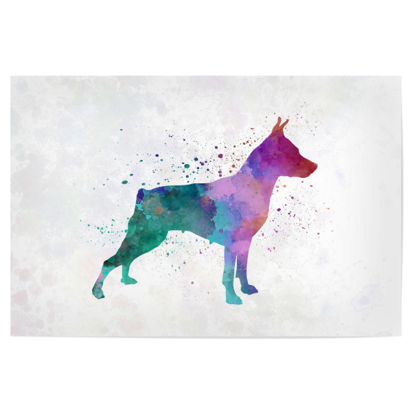 Poster 30x20 cm "Miniature Pinscher dog" artboxONE - Tiere,Abstrakt - Dog,Dogs,Pet,Animal,Mammal,Watercolor,Dog poster,Illustration,Abstract