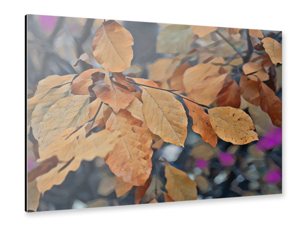 Alu-Dibond "Herbstlaub" 30x20 cm artboxONE