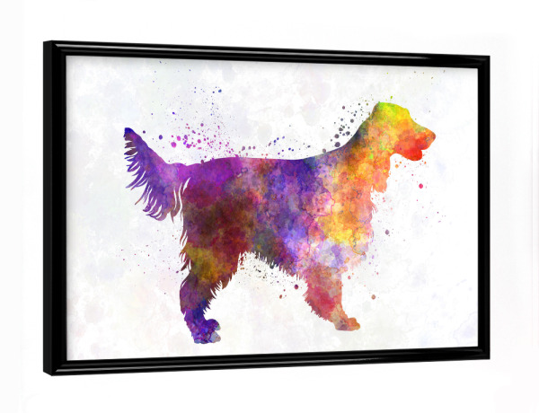 Poster mit schwarzem Rahmen "Irish Red Setter dog" artboxONE - Tiere,Abstrakt