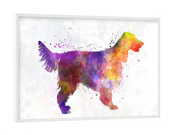 Poster mit weißem Rahmen "Irish Red Setter dog" artboxONE - Tiere,Abstrakt - Dog,Dogs,Pet,Animal,Mammal,Watercolor,Dog poster,Illustration,Abstract