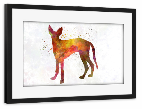 Poster mit Rahmen schwarz "Ibiza Hound in watercolor" artboxONE - Tiere,Abstrakt