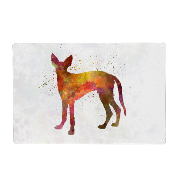 Holzbild "Ibiza Hound in watercolor" artboxONE - Tiere,Abstrakt - Dog,Dogs,Pet,Animal,Mammal,Watercolor,Dog poster,Illustration,Abstract