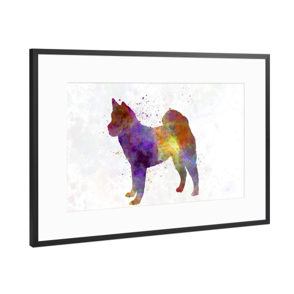 Poster mit Rahmen Schwarz (Metallic) "Hokkaido dog" artboxONE - Tiere,Abstrakt - Dog,Dogs,Pet,Animal,Mammal,Watercolor,Illustration,Abstract,Hund,Tier