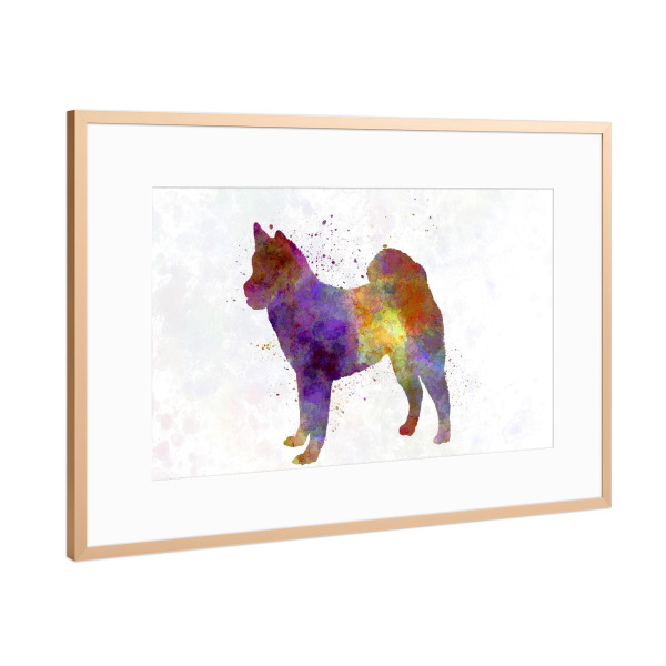 Poster mit Rahmen Kupfer "Hokkaido dog" artboxONE - Tiere,Abstrakt - Dog,Dogs,Pet,Animal,Mammal,Watercolor,Illustration,Abstract,Hund,Tier
