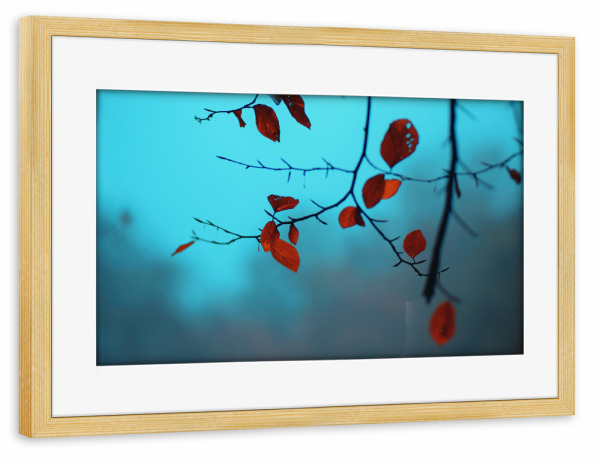 Poster mit Rahmen kiefer "Herbstblätter am Ast" artboxONE - Natur