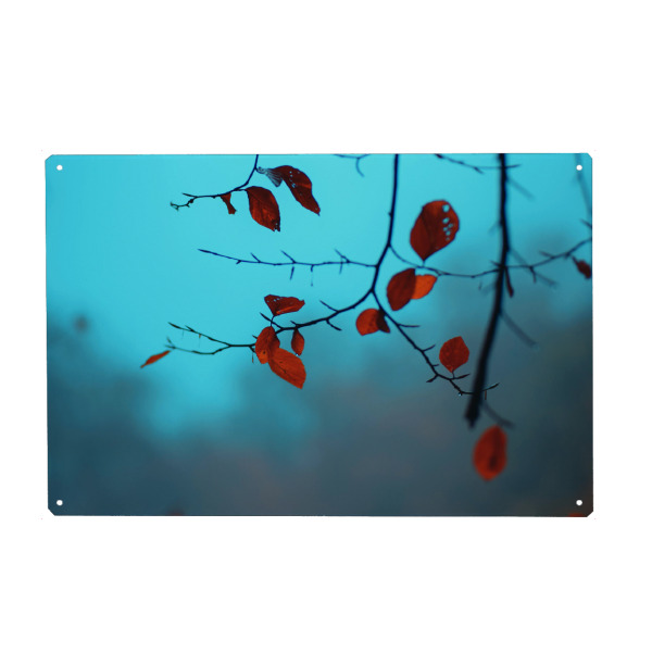 Metall Poster "Herbstblätter am Ast" artboxONE - Natur