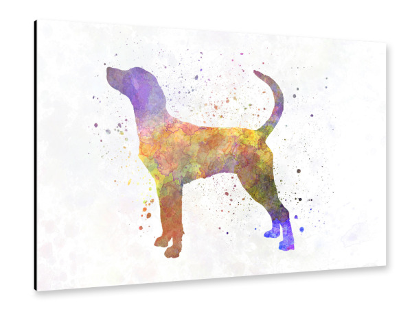 Alu-Dibond "English Foxhound in watercolor" 30x20 cm artboxONE