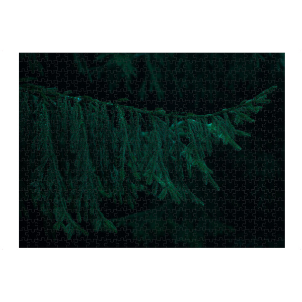 Puzzle Ravensburger "Grüner Tannenzweig" artboxONE - Natur