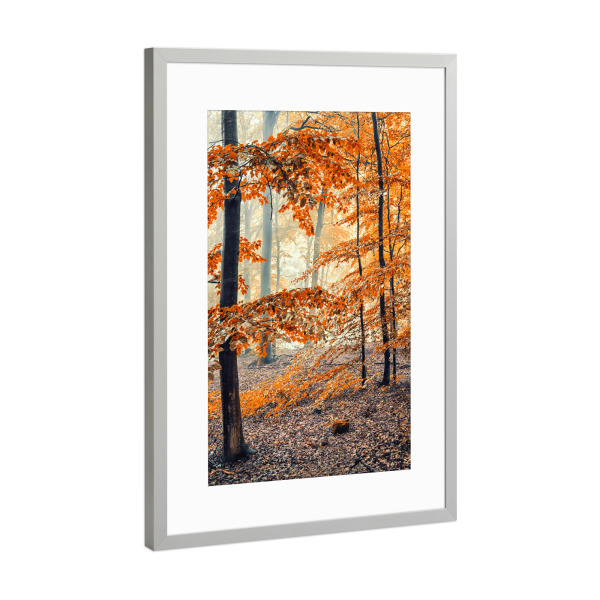 Poster mit Rahmen Silber "Autumn in Germany" artboxONE - Natur,Reise,Reise / Länder,Für Mama