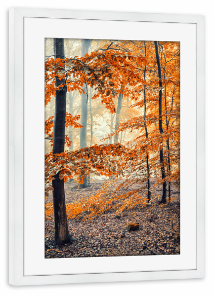 Poster mit Rahmen weiß "Autumn in Germany" artboxONE - Natur,Reise,Reise / Länder,Für Mama