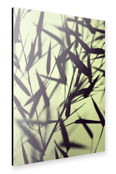 Alu-Dibond "Bambus Blätter Serie grün" 30x20 cm artboxONE