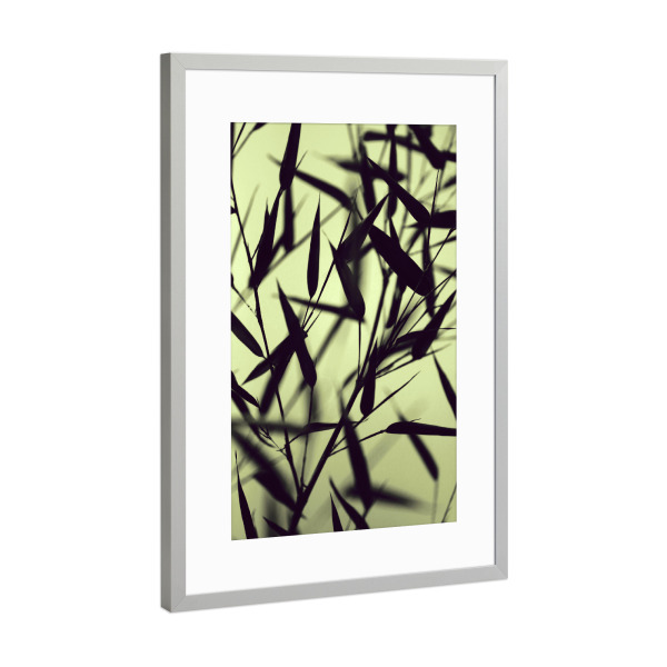 Poster mit Rahmen Silber "Bambus Blätter Serie grün" artboxONE - Natur,Floral,Abstrakt,Reise / Asien