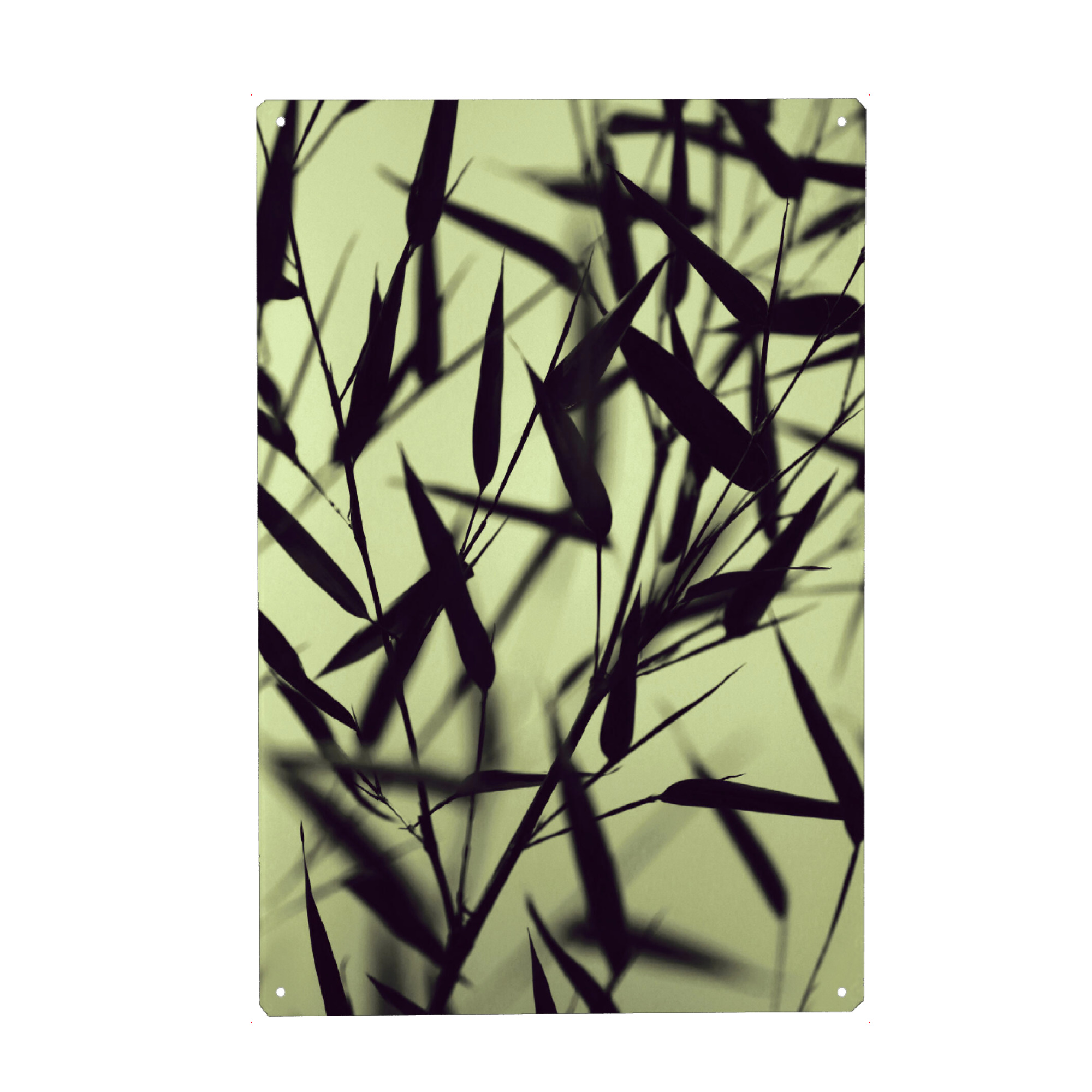 Holzbild "Bambus Blätter Serie grün" artboxONE - Natur,Floral,Abstrakt,Reise / Asien