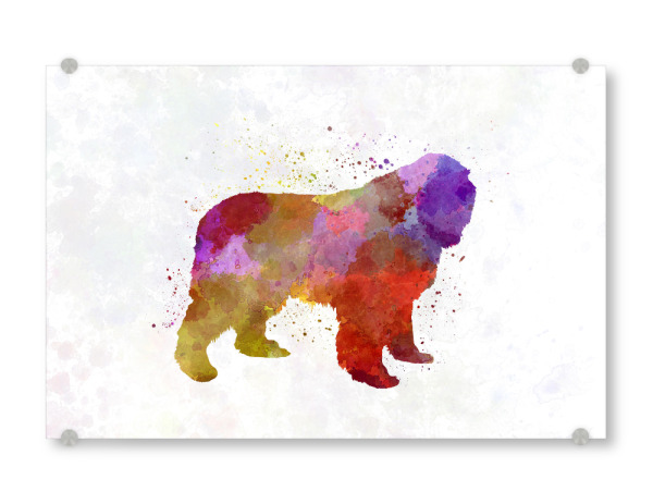 Acrylglasbild "Newfoundland in watercolor" artboxONE - Tiere,Abstrakt - Dog,Dogs,Pet,Animal,Mammal,Watercolor,Dog poster,Illustration,Abstract