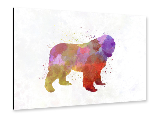 Alu-Dibond "Newfoundland in watercolor" 30x20 cm artboxONE