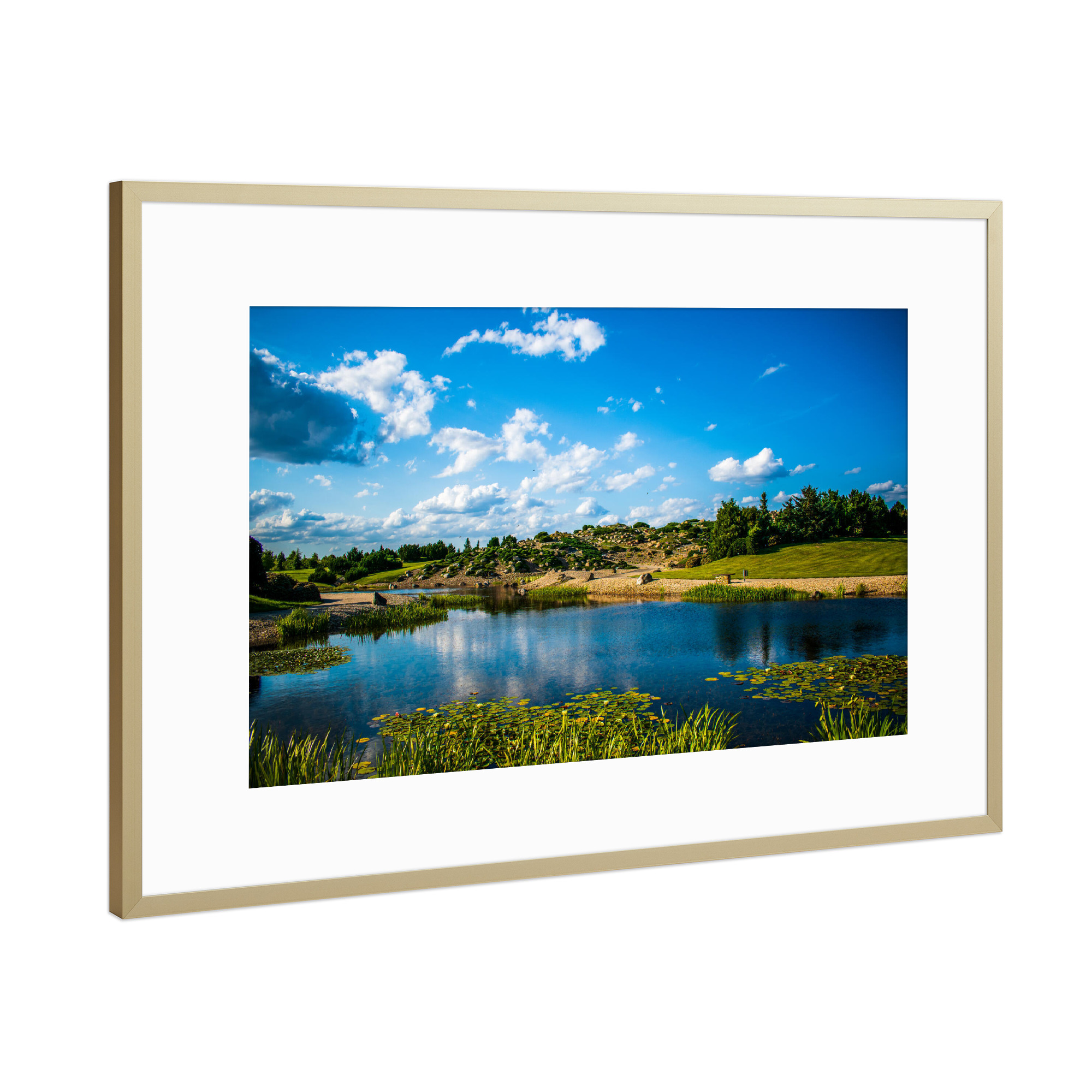 Poster mit Rahmen Gold "Findlingspark Nochten" artboxONE - Natur,Reise