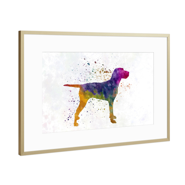 Poster mit Rahmen Gold "Hungarian Wirehaired Vizsla" artboxONE - Tiere,Abstrakt