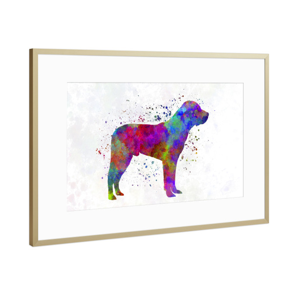 Poster mit Rahmen Gold "Great Swiss Mountain Dog" artboxONE - Tiere,Abstrakt - Dog,Dogs,Pet,Animal,Mammal,Watercolor,Dog poster,Illustration,Abstract