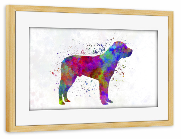 Poster mit Rahmen kiefer "Great Swiss Mountain Dog" artboxONE - Tiere,Abstrakt