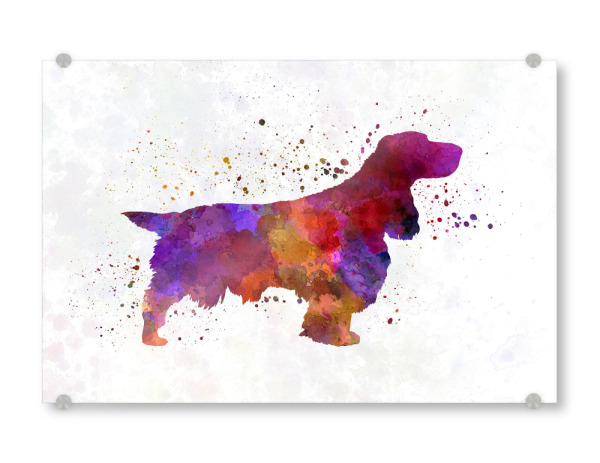 Acrylglasbild "Field Spaniel in watercolor" artboxONE - Tiere,Abstrakt