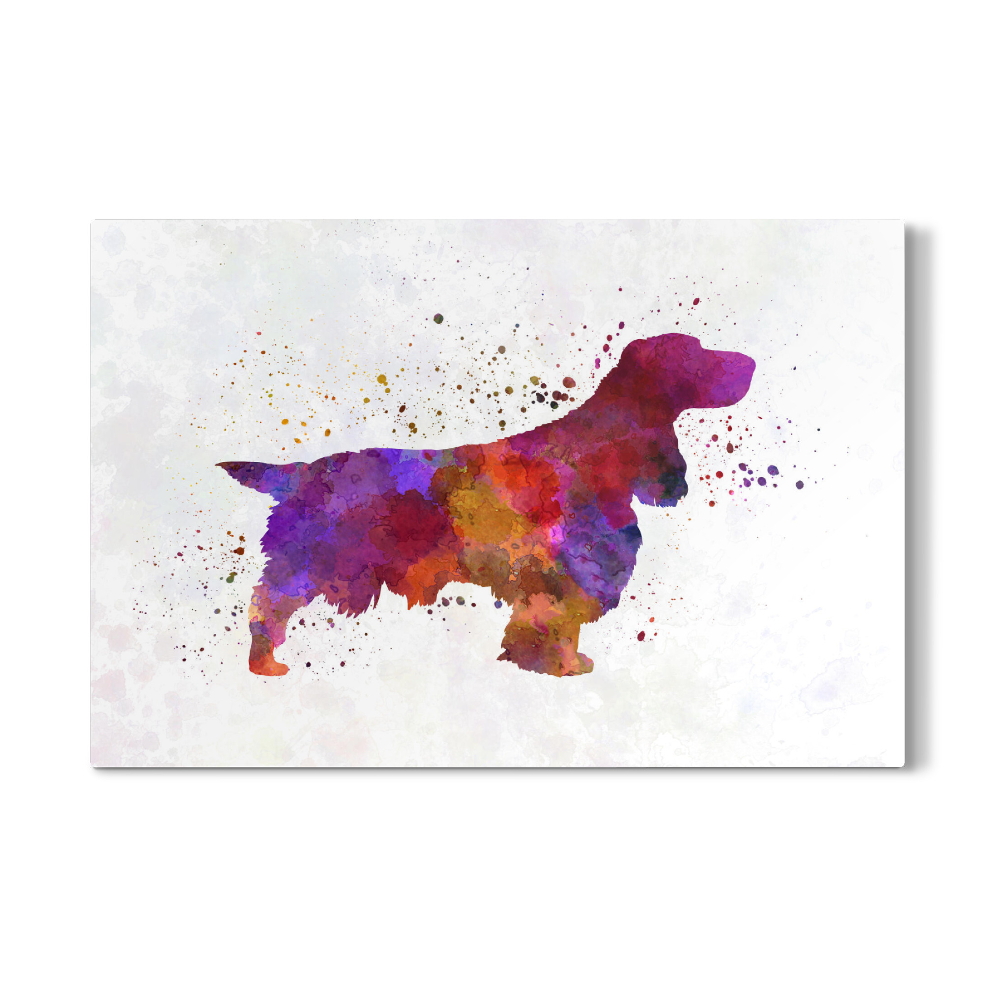 Galerie-Print "Field Spaniel in watercolor" 30x20 cm artboxONE