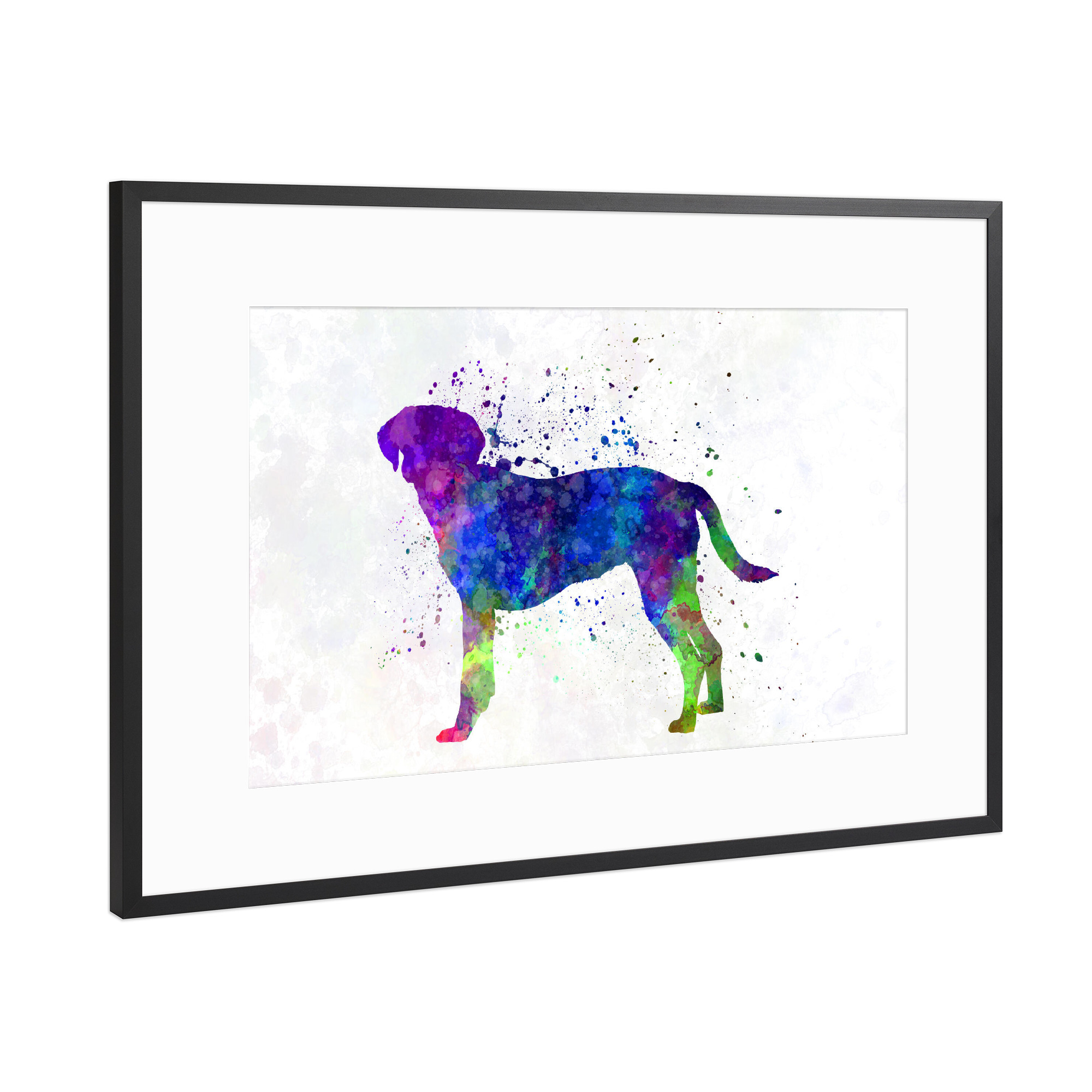 Poster mit Rahmen Schwarz (Metallic) "Istrian Scenthound in watercolor" artboxONE - Tiere,Abstrakt