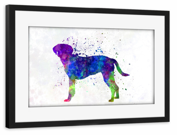 Poster mit Rahmen schwarz "Istrian Scenthound in watercolor" artboxONE - Tiere,Abstrakt