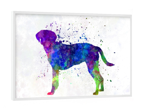 Poster mit weißem Rahmen "Istrian Scenthound in watercolor" artboxONE - Tiere,Abstrakt