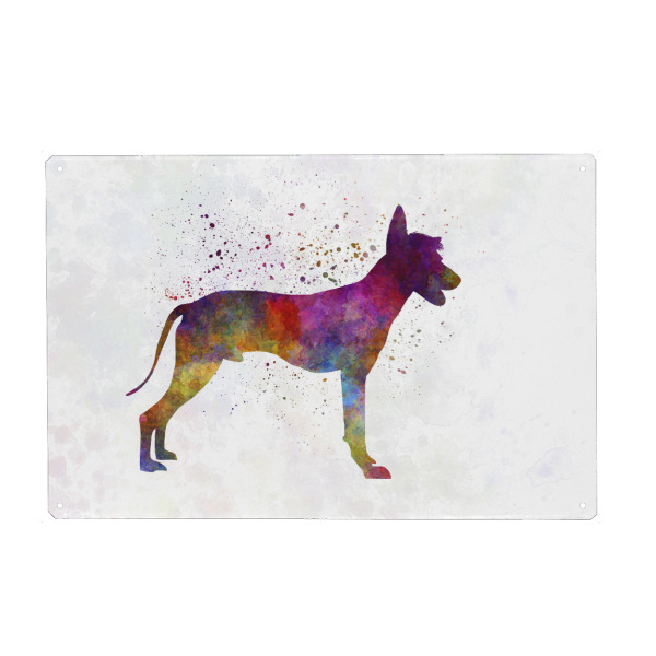 Holzbild "Peruvian Hairless Dog" artboxONE - Tiere,Abstrakt - Dog,Dogs,Pet,Animal,Mammal,Watercolor,Dog poster,Illustration,Abstract