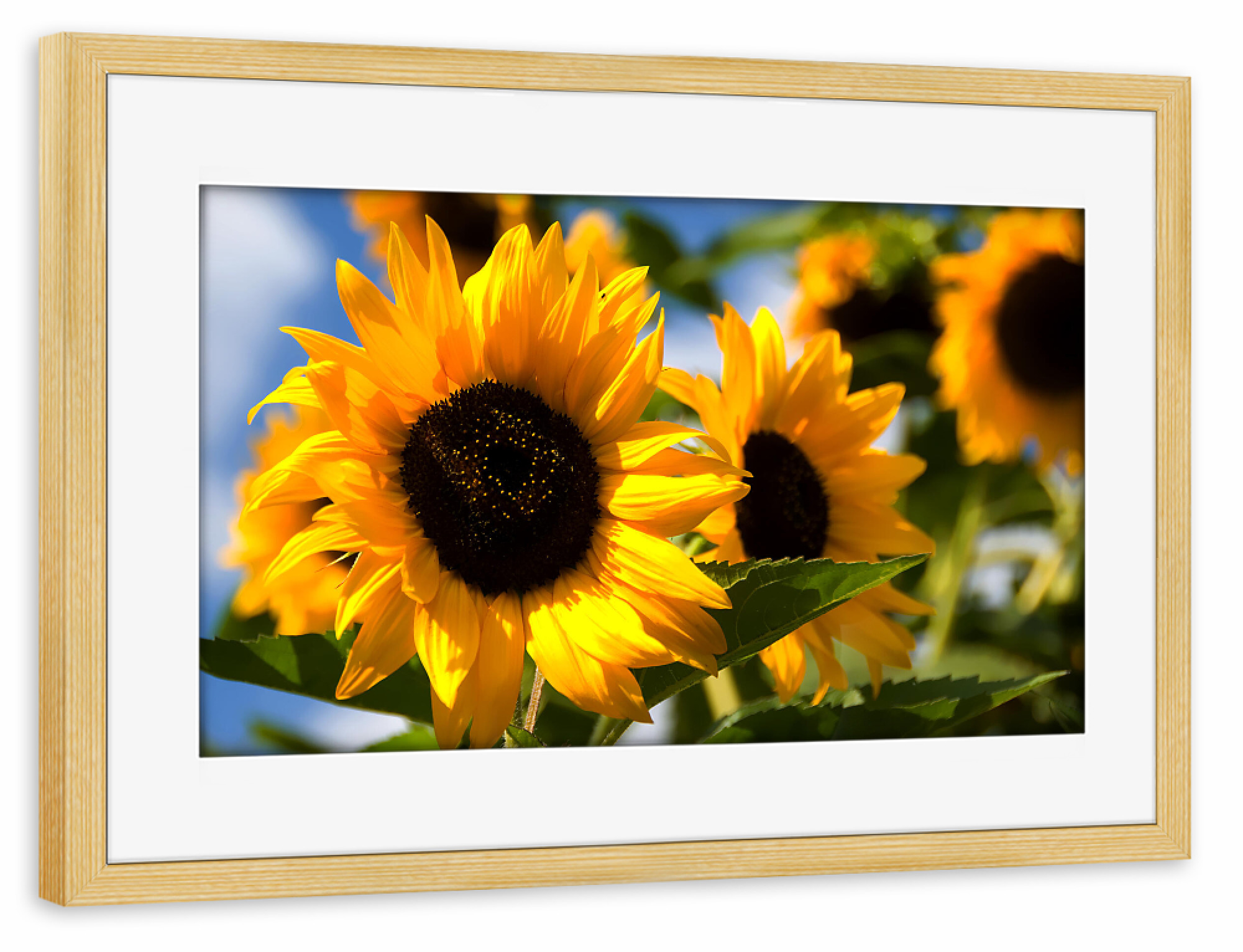 Poster mit Rahmen kiefer "Typisch Sommer" artboxONE - Floral