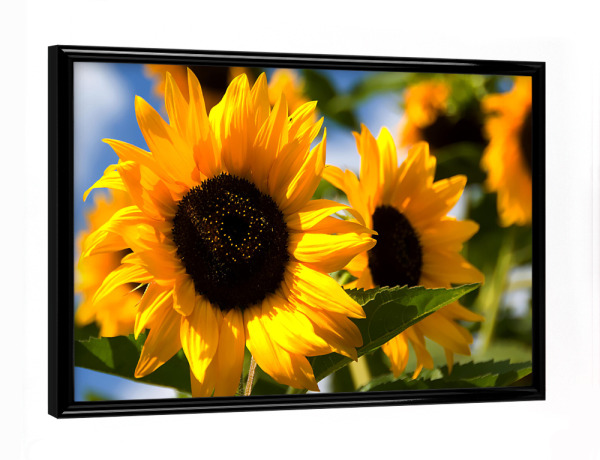 Poster mit schwarzem Rahmen "Typisch Sommer" artboxONE - Floral