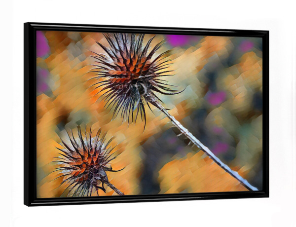 Poster mit schwarzem Rahmen "Stachelig" artboxONE - Natur,Abstrakt
