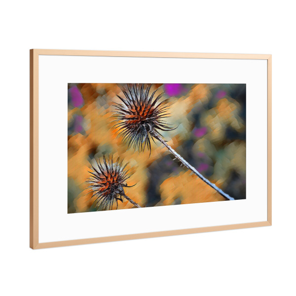 Poster mit Rahmen Kupfer "Stachelig" artboxONE - Natur,Abstrakt