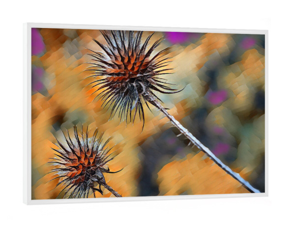 Poster mit weißem Rahmen "Stachelig" artboxONE - Natur,Abstrakt