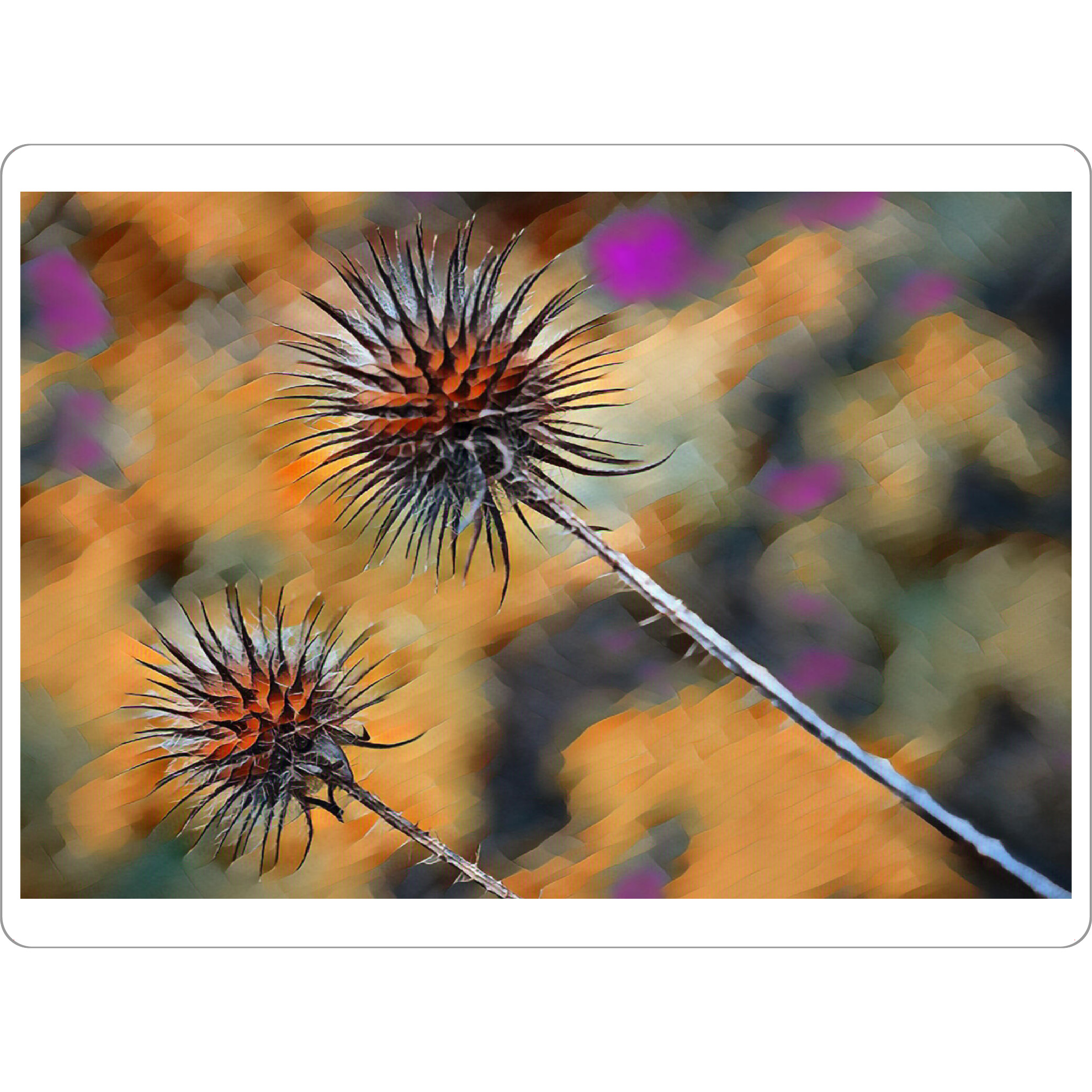 Tischset "Stachelig" artboxONE - Natur,Abstrakt