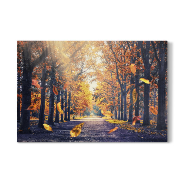 Galerie-Print "Autumn Vibe" 30x20 cm artboxONE