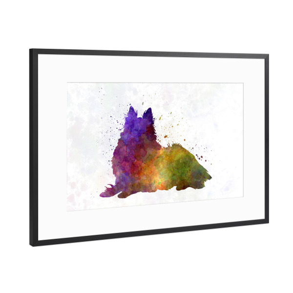 Poster mit Rahmen Schwarz (Metallic) "Long Haired Collie in watercolor" artboxONE - Tiere,Abstrakt
