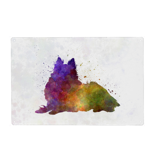 Metall Poster "Long Haired Collie in watercolor" artboxONE - Tiere,Abstrakt