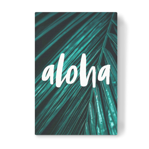 Aloha Palme