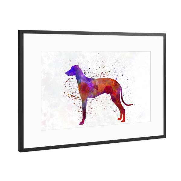 Poster mit Rahmen Schwarz (Metallic) "Hungarian Greyhound dog" artboxONE - Tiere,Abstrakt