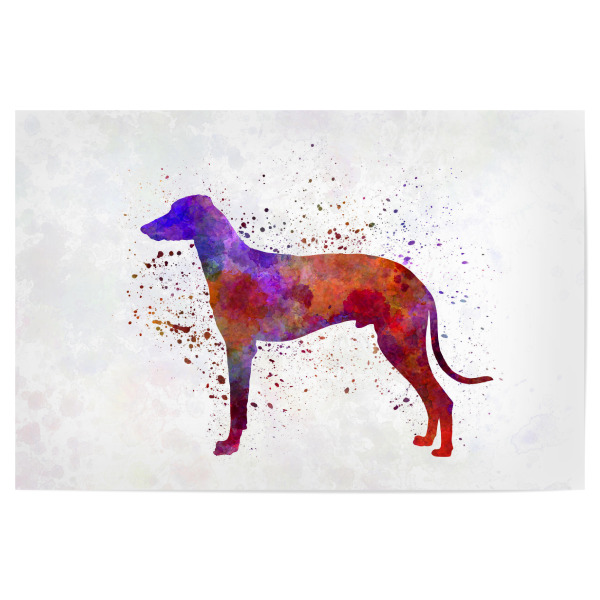 Poster 30x20 cm "Hungarian Greyhound dog" artboxONE - Tiere,Abstrakt - Dog,Dogs,Pet,Animal,Mammal,Watercolor,Dog poster,Illustration,Abstract