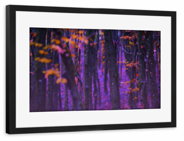 Poster mit Rahmen schwarz "Magischer Wald" artboxONE - Natur