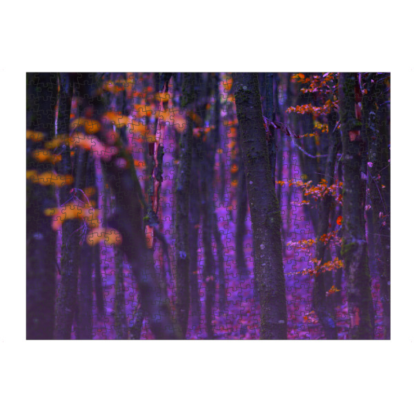 Puzzle Ravensburger "Magischer Wald" artboxONE - Natur