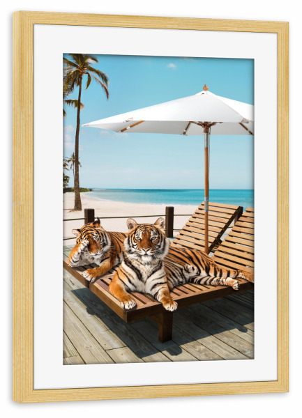 Poster mit Rahmen kiefer "Tigers Tan Time" artboxONE - Natur,Für Kinder,Tiere,Reise / Strand und Meer,Städte / Los Angeles