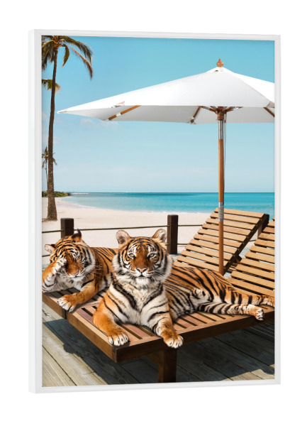 Poster mit weißem Rahmen "Tigers Tan Time" artboxONE - Natur,Für Kinder,Tiere,Reise / Strand und Meer,Städte / Los Angeles