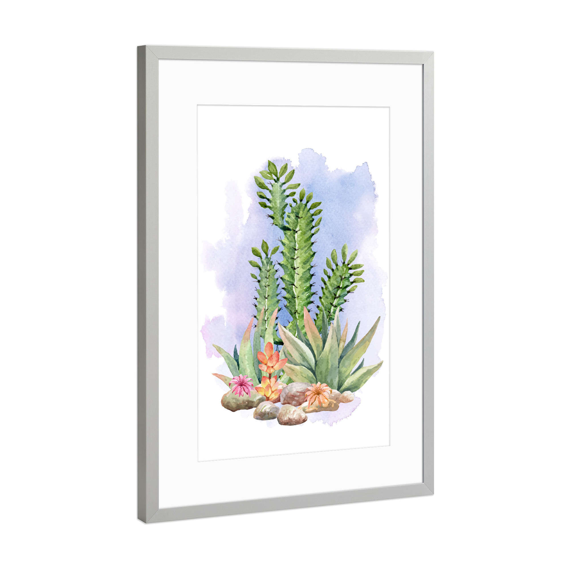 Poster mit Rahmen Silber "Kaktus und Sukkulente mit Blüten" artboxONE - Natur,Floral