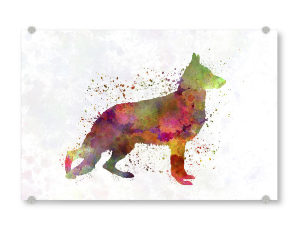 Acrylglasbild "German Sherpherd dog watercolor" artboxONE - Tiere,Abstrakt - Dog,Dogs,Pet,Animal,Mammal,Watercolor,Dog poster,Illustration,Abstract