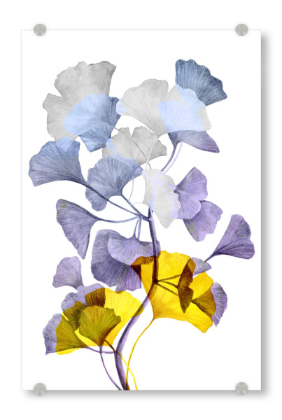 Acrylglasbild "Ginko pastel art" artboxONE - Natur,Floral