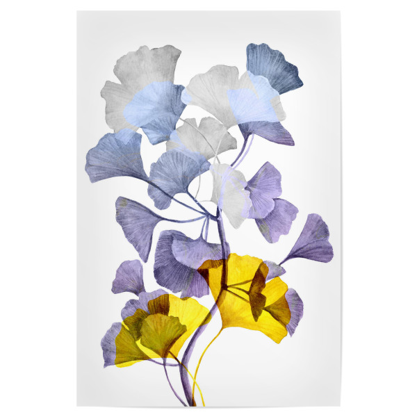 Poster "Ginko pastel art" artboxONE - Natur,Floral