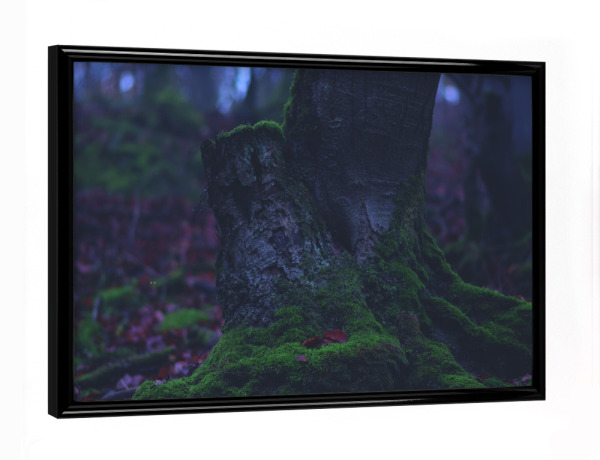 Poster mit schwarzem Rahmen "Bemooster Baumstumpf" artboxONE - Natur